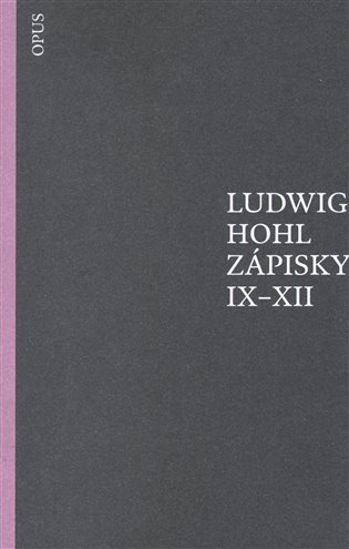Zápisky IX–XII - Ludwig Hohl