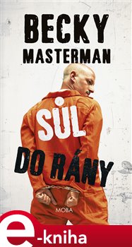 Levně Sůl do rány - Becky Masterman e-kniha