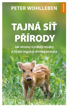 Tajná síť přírody - Jak stromy vyrábějí mraky a žížaly regulují divoká prasata koupíte na Kosmas.cz