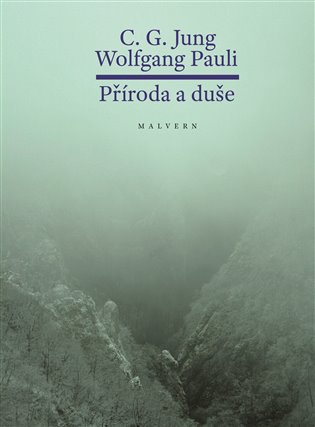 Příroda a duše - Wolfgang Ernst Pauli, Carl Gustav Jung