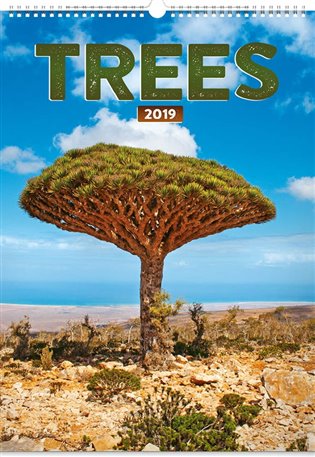 Nástěnný kalendář Trees 2019 - 