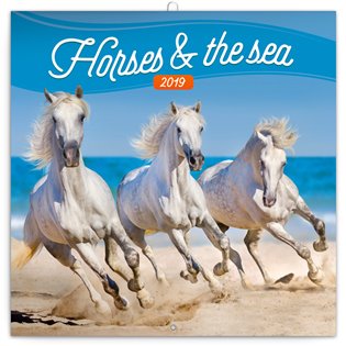 Poznámkový kalendář Koně a moře 2019 - 