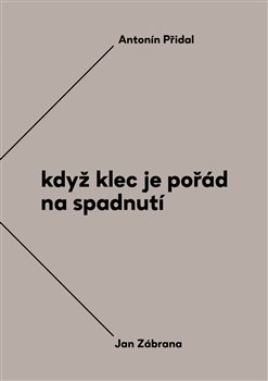 Levně Když klec je pořád na spadnutí. Vzájemná korespondence Antonína Přidala a Jana Zábrany z let 1963–1984 - Jan Zábrana, Antonín Přidal