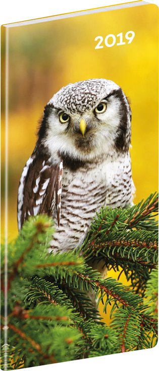 Kapesní diář Sovy 2019, plánovací měsíční: 8 x 18 cm - 