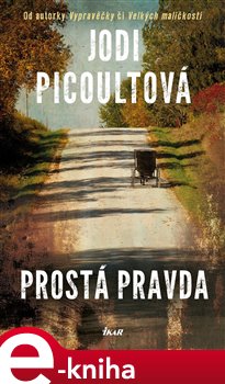 Levně Prostá pravda - Jodi Picoultová e-kniha