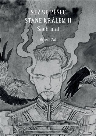 Než se pěšec stane králem II. - Vojtěch Žák
