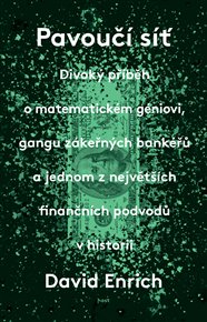 Pavoučí síť - David Enrich