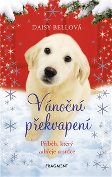 Levně Vánoční překvapení - Daisy Bellová