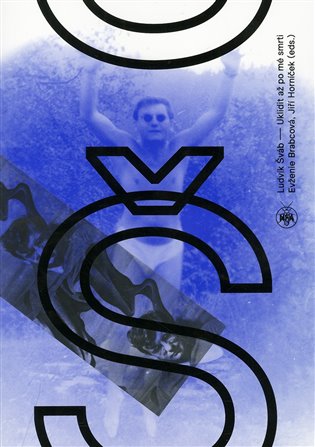 Kniha Ludvík Šváb - Uklidit po mé smrti