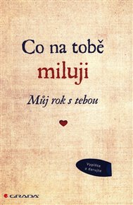 Co na tobě miluji - Můj rok s tebou