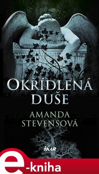 Levně Okřídlená duše - Amanda Stevensová