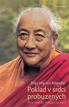 Kniha Poklad v srdci probuzených. Praxe náhledu, meditace a jednání. Promluva ctnostná na počátku, uprostřed i na konci