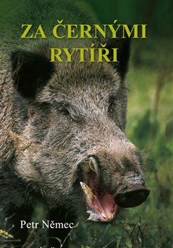 Levně Za černými rytíři - Petr Němec