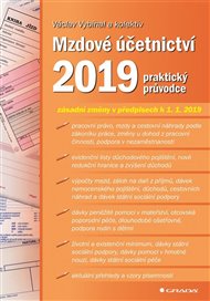 Mzdové účetnictví 2019: praktický průvodce - Václav Vybíhal,  kol.