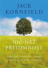 Nic než přítomnost - Jack Kornfield