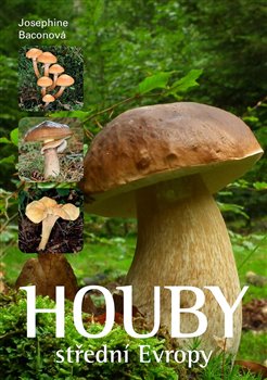 Levně Houby střední Evropy - Josefine Baconová
