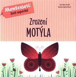 Levně Zrození motýla - Chiara Piroddi