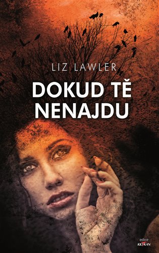 Dokud tě nenajdu - Liz Lawler