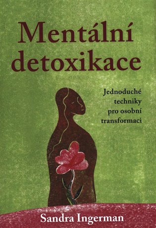 Mentální detoxikace - Sandra Ingerman