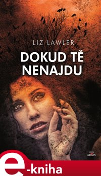 Levně Dokud tě nenajdu - Liz Lawler