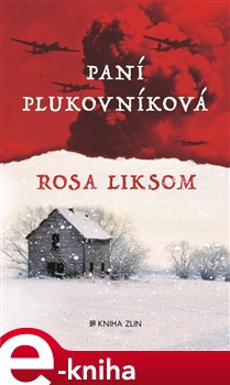 Levně Paní plukovníková - Rosa Liksom
