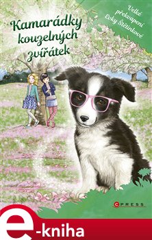 Levně Kamarádky kouzelných zvířátek 3: Velké překvapení Evky Štětinkové - Daisy Meadowsová