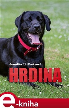 Levně Hrdina - Jennifer Li Shotzová