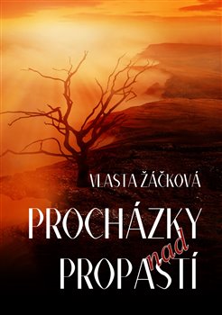 Procházky nad propastí koupíte na Kosmas.cz