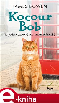 Levně Kocour Bob a jeho životní moudrost - James Bowen