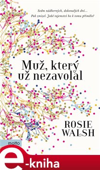 Muž, který už nezavolal - Rosie Walsh