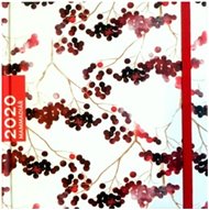 Mammadiář 2020 Jeřabiny