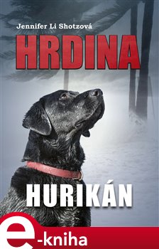 Levně Hrdina: Hurikán - Jennifer Li Shotzová