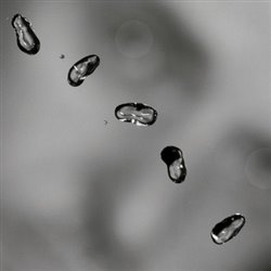Levně Up - Peter Gabriel
