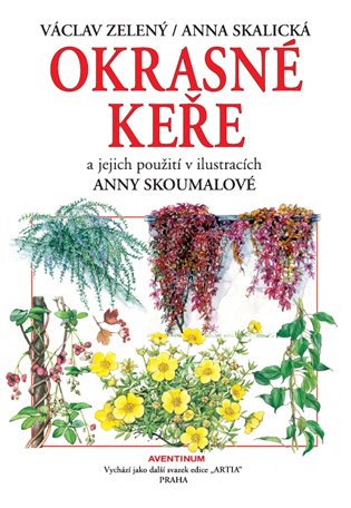 Okrasné keře a jejich použití - Václav Zelený, Anna Skalická