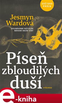 Levně Píseň zbloudilých duší - Jesmyn Wardová