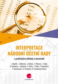 Interpretace Národní účetní rady: s praktickými příklady a komentáři -  kol.