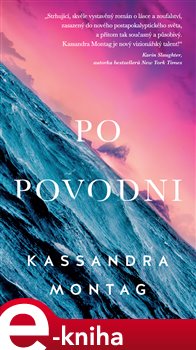 Levně Po povodni - Kassandra Montag