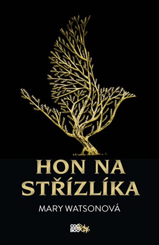 Hon na střízlíka - Mary Watsonová