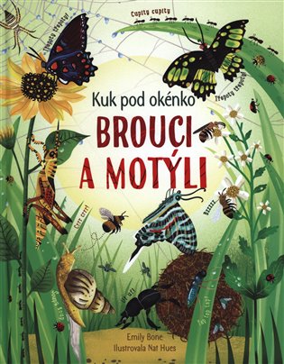 Brouci a motýli - Kuk pod okénko - Emily Bone