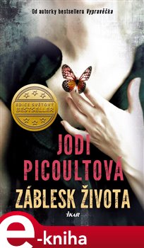Levně Záblesk života - Jodi Picoultová