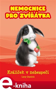 Levně Nemocnice pro zvířátka: Králíček v nebezpečí - Lucy Danielsová