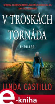 Levně V troskách tornáda - Linda Castillo