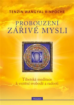 Levně Probouzení zářivé mysli - Tenzin Wangyal Rinpočhe