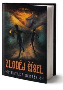 Levně Zloděj čísel - Hayley Barker