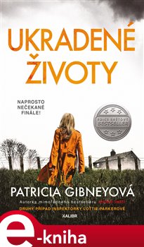 Levně Ukradené životy - Patricia Gibneyová