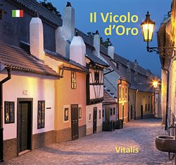 Levně Il Vicolo d’Oro. La guida museale al Vicolo degli Orafi - Harald Salfellner