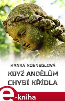 Když andělům chybí křídla - Hanka Hosnedlová