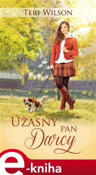 Levně Úžasný pan Darcy - Teri Wilson