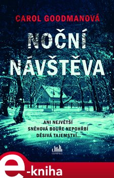 Levně Noční návštěva - Caroll Goodman