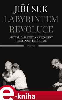 Levně Labyrintem revoluce. Aktéři, zápletky a křižovatky jedné politické krize - Jiří Suk e-kniha